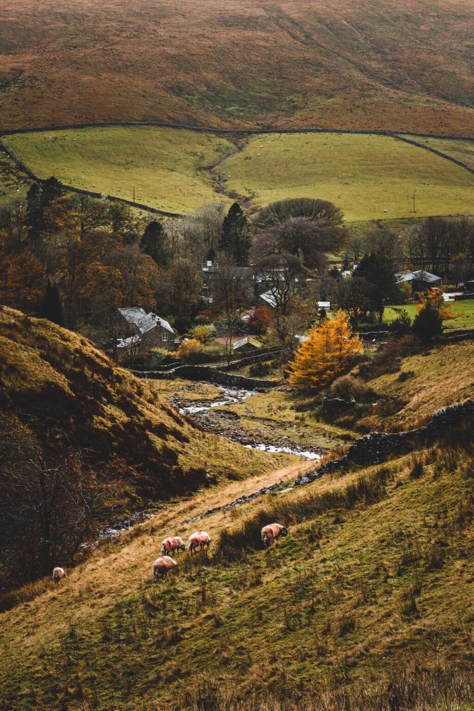 Rural Elegance